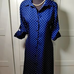Polka Dot Shirt Dress
